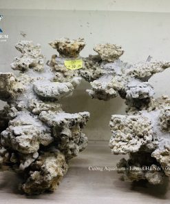 MÃ 233 - LAYOUT CẤCNHR BIỂN BỂ 40CM - ROYALAQUA