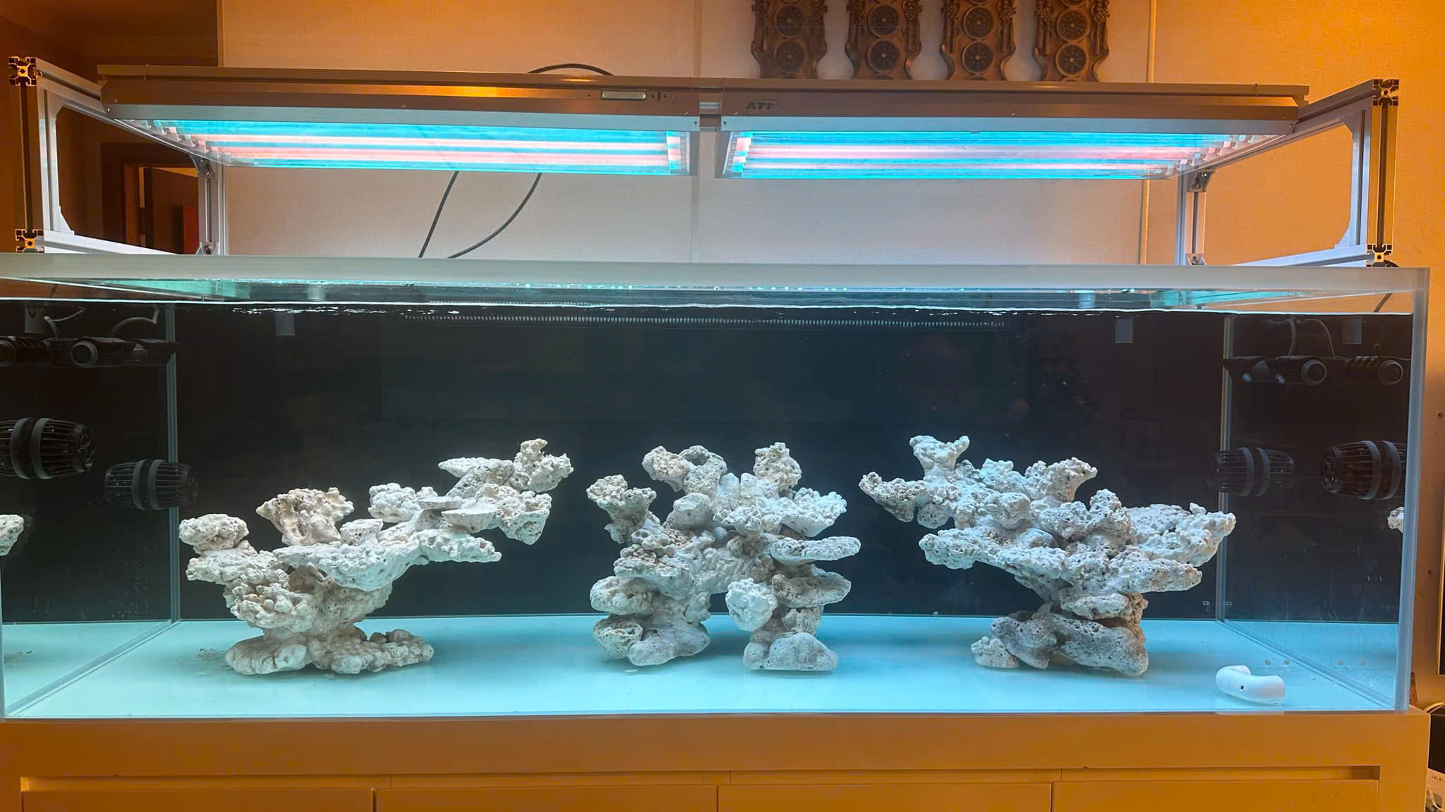 z6435568171314_a7ea10e18e4157e7dadb0bb9efabc47e