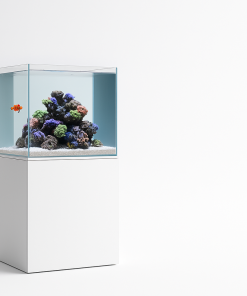 Bộ bể Cubic 45 Signature – White Edition | Bộ bể cá biển cao cấp chuẩn decor