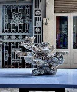 Mã 483 - Layout cho bể cubic 45 đá tán cắt bằng chuyên chơi san hô