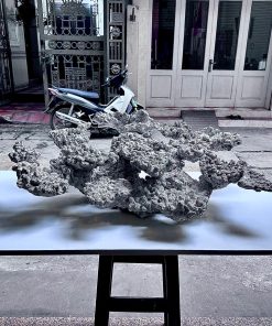 Mã 484 - Layout cá biển tự nhiên cho bể 100x90x60 chuyên nghiệp chơi SPS