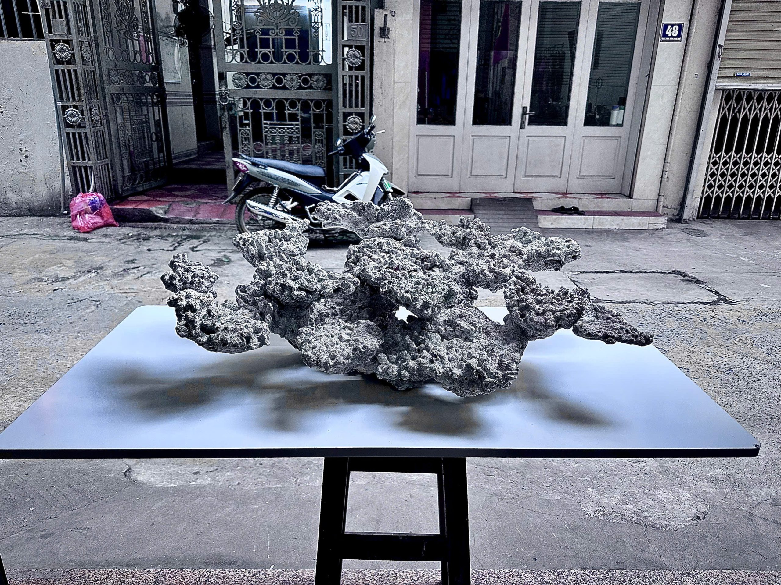 Mã 484 - Layout cá biển tự nhiên cho bể 100x90x60 chuyên nghiệp chơi SPS