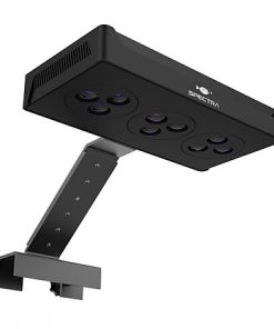 Đèn led M029 cho bể cá biển (cubic 30-50)