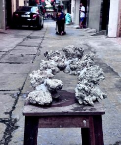 Mã 485 - Layout tự nhiên chơi san hô – Bố cục hài hòa, thoáng luồng và sử dụng ngay