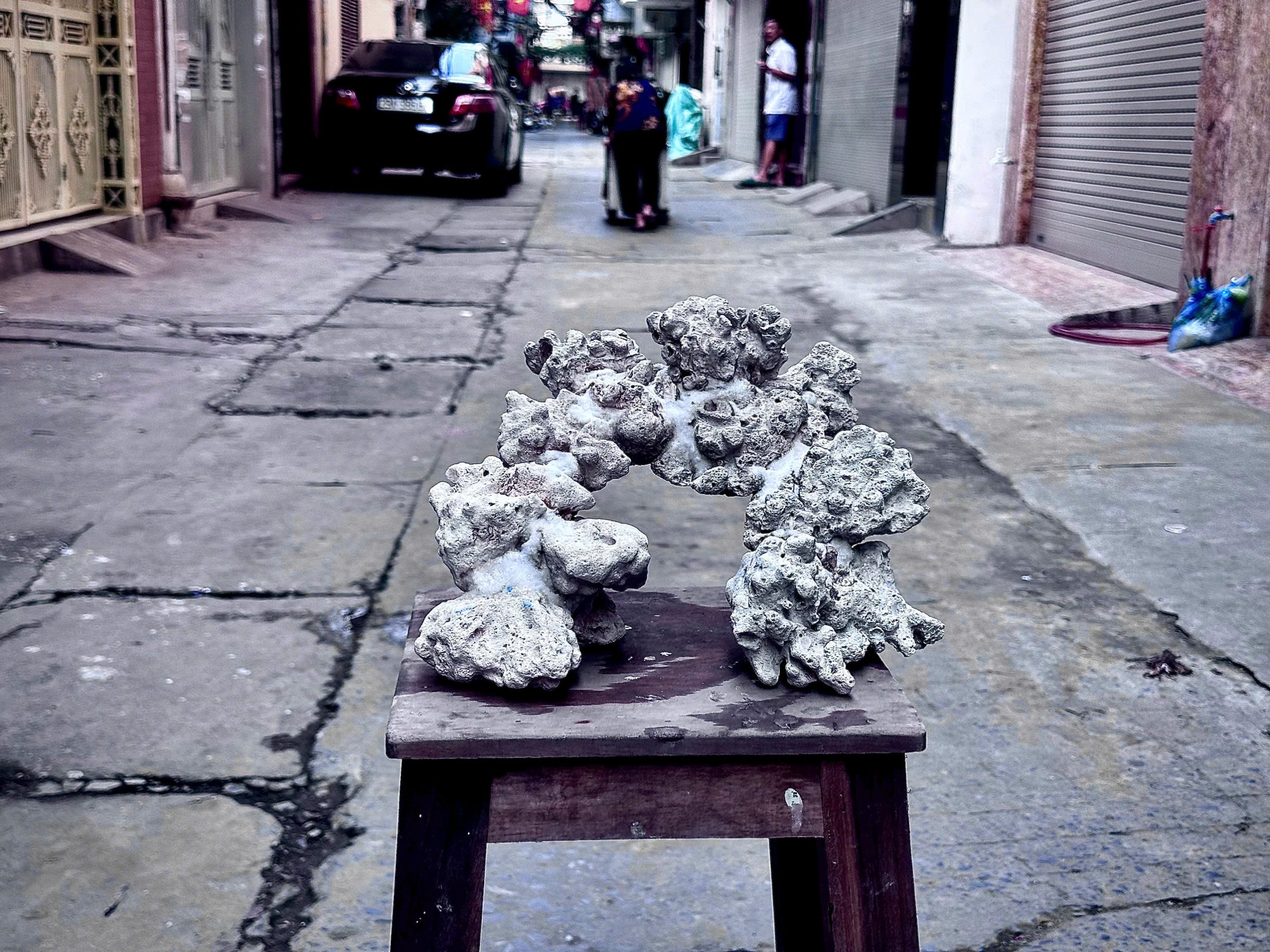 Mã 485 - Layout tự nhiên chơi san hô – Bố cục hài hòa, thoáng luồng và sử dụng ngay