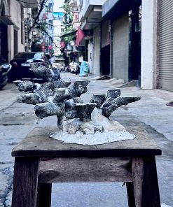 Mã 487 - Layout cá biển bể 40cm – tối ưu cho san hô