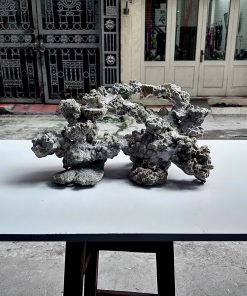 Mã 482 - Layout cho bể cubic 60cm dáng tự nhiên chuyên san hô – Bố cục tối ưu cho reef tank