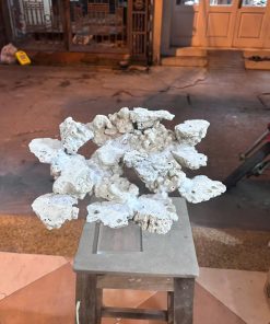 Mã 491 – Layout bay 40cm tối ưu mọi không gian, dễ chơi, dễ vệ sinh