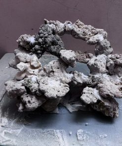 Mã 494 – Layout cảnh bể 45cm setup bể cá biển trong vài phút với layout thiết kế sẵn