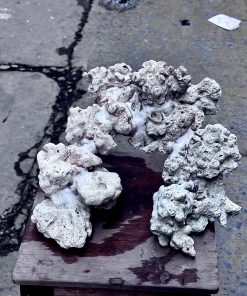 Mã 495 – Layout cảnh bể 40cm chuẩn form, đặt vào là đẹp tự nhiên