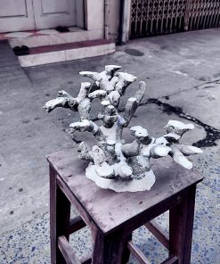 Mã 498 – Layout bể 40cm setup sẵn chơi san hô nhẹ nhàng, đặt là đẹp