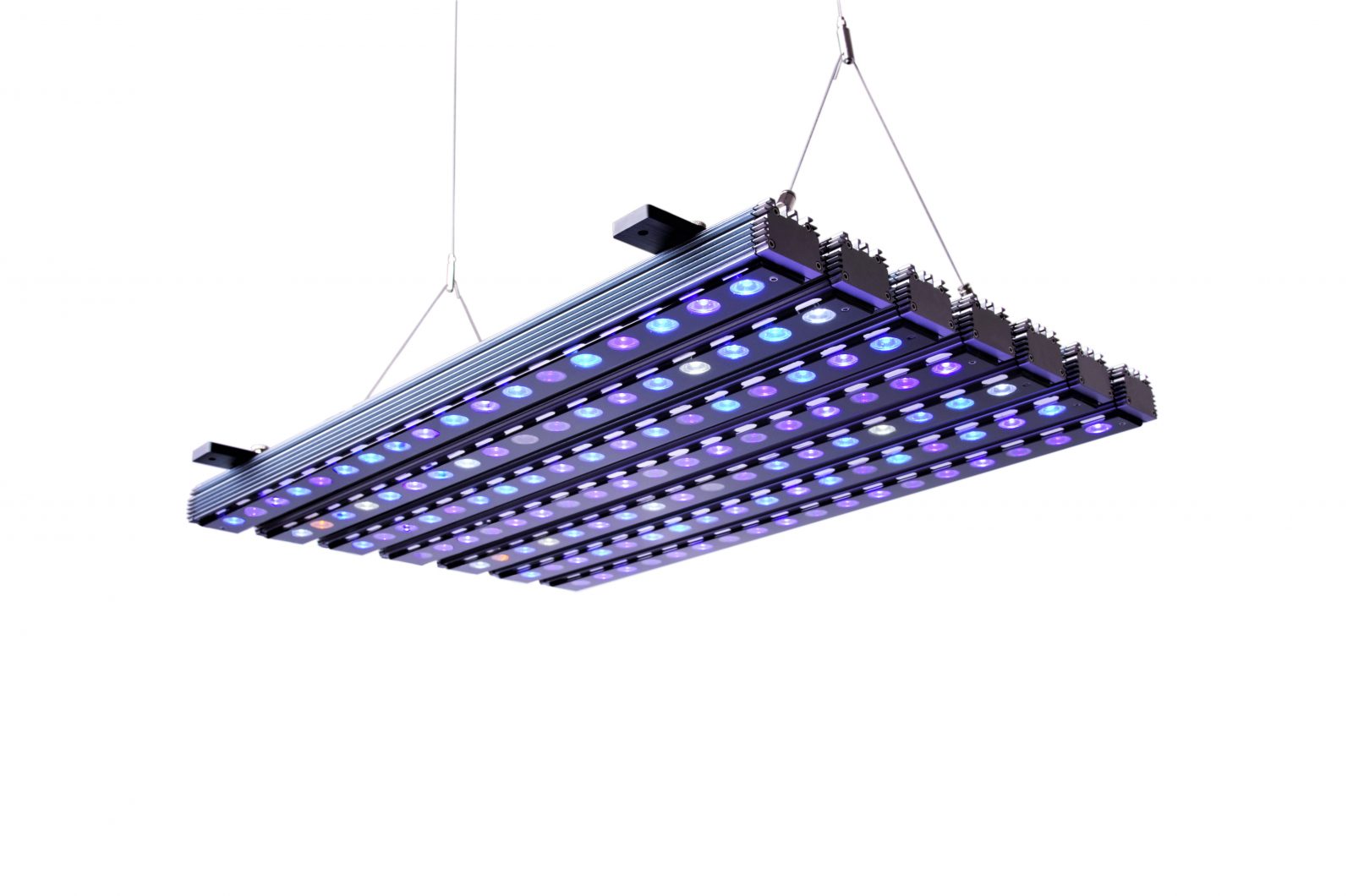 Đèn LED bar Orphek OR3 Blue Plus tăng màu san hô, ánh sáng biển sâu