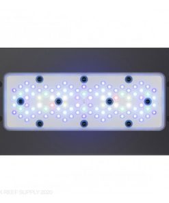 Đèn Radion Xr30 G5 đèn cao cấp cho bể cá biển – Ecotech Marine