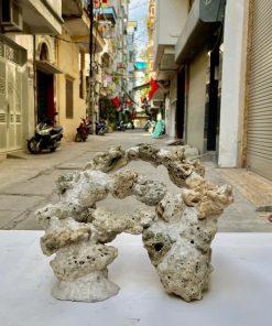 Mã 500 – Layout cảnh bể 50cm thoáng đáy lên dáng đẹp, bền form lâu dài