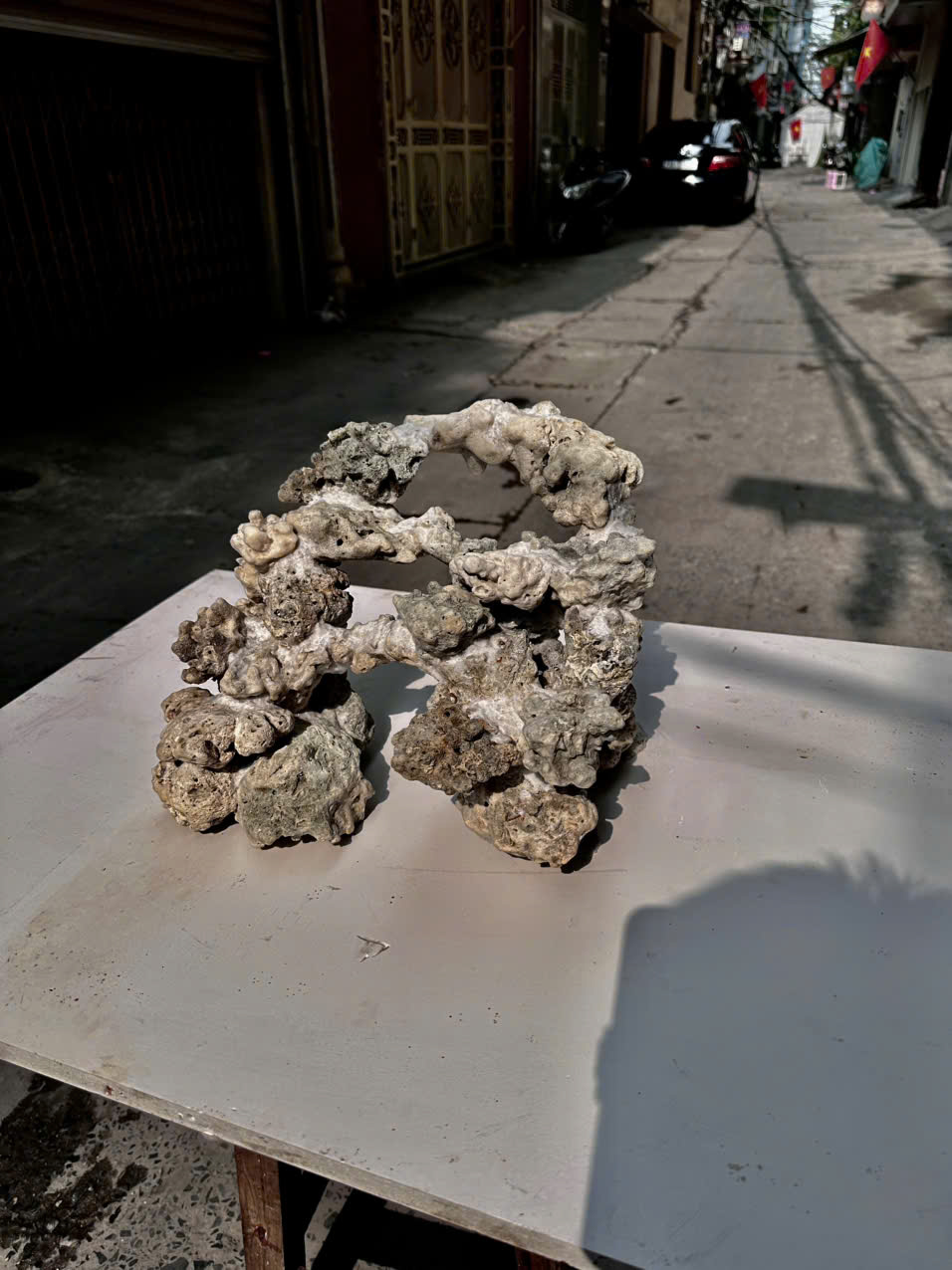 Mã 502 – Layout cảnh bể 50cm gọn, đẹp, dễ chơi, bố cục hài hòa