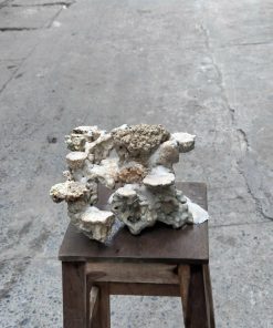 Mã 504 – Layout cảnh bể 50cm setup nhanh gắn san hô là xong, dễ chơi