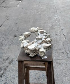 Mã 506 – Layout bể cá biển 50cm đẹp, dễ trang trí san hô lên bề mặt đá