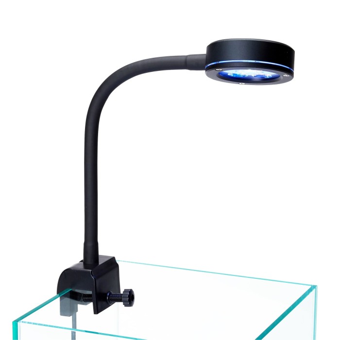 Đèn led Q2 dành cho người mới chơi cá biển