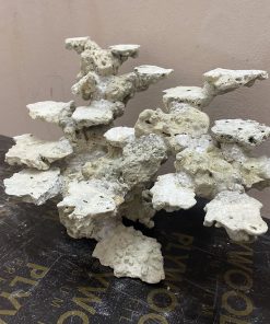 Mã 507 - Layout bể 60cm đá cắt tự nhiên chuyên san hô – Tối ưu thẩm mỹ & sinh học