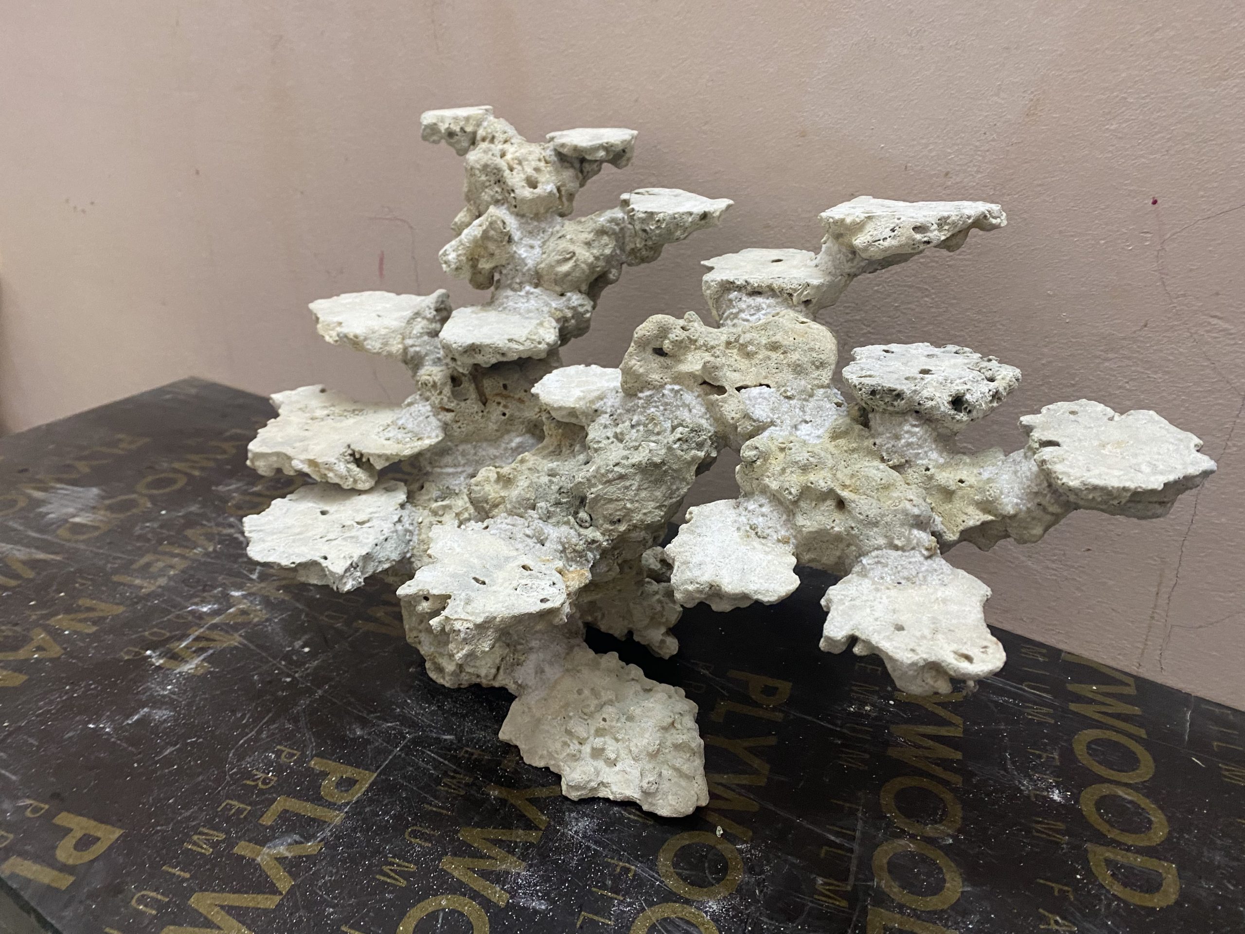 Mã 507 - Layout bể 60cm đá cắt tự nhiên chuyên san hô – Tối ưu thẩm mỹ & sinh học