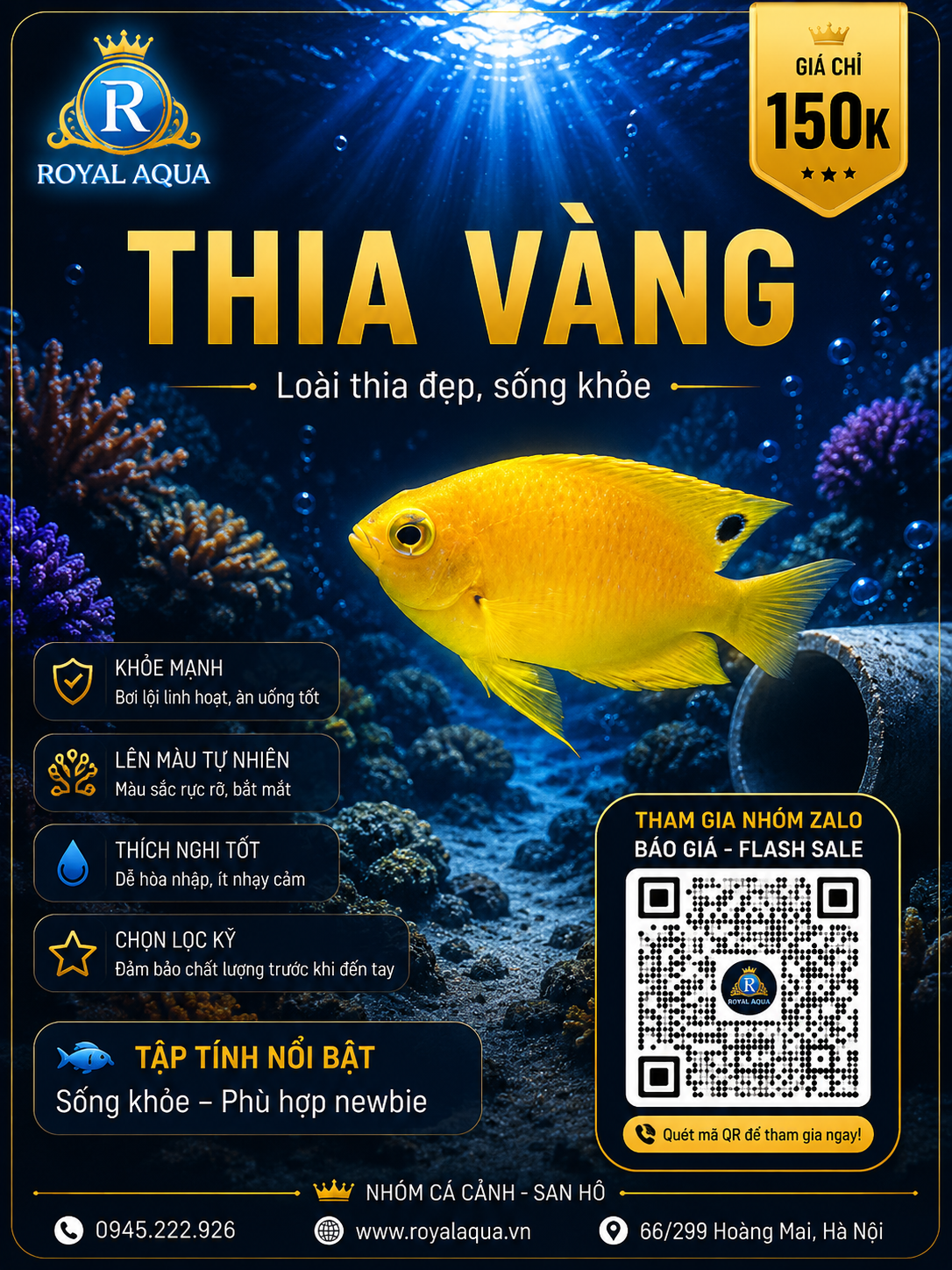 ca-thia-vang