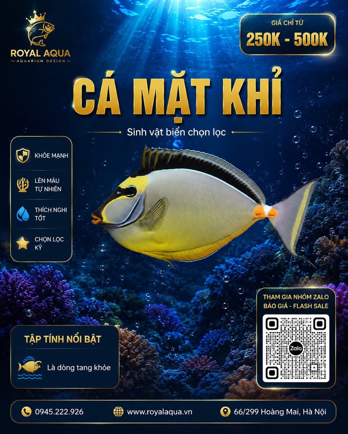 CÁ MẶT KHỈ