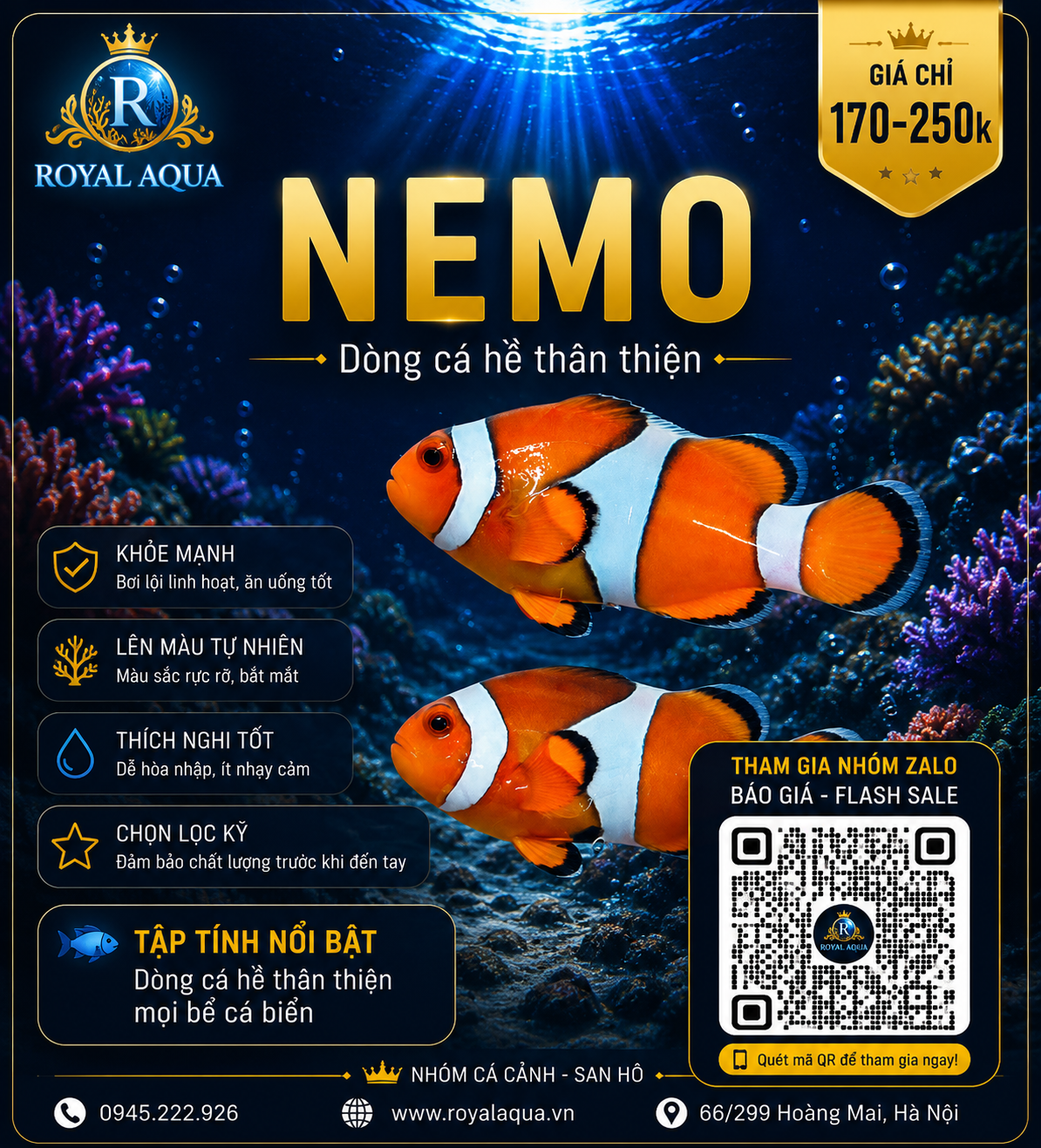 Nemo