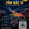 TÔM BÁC SĨ
