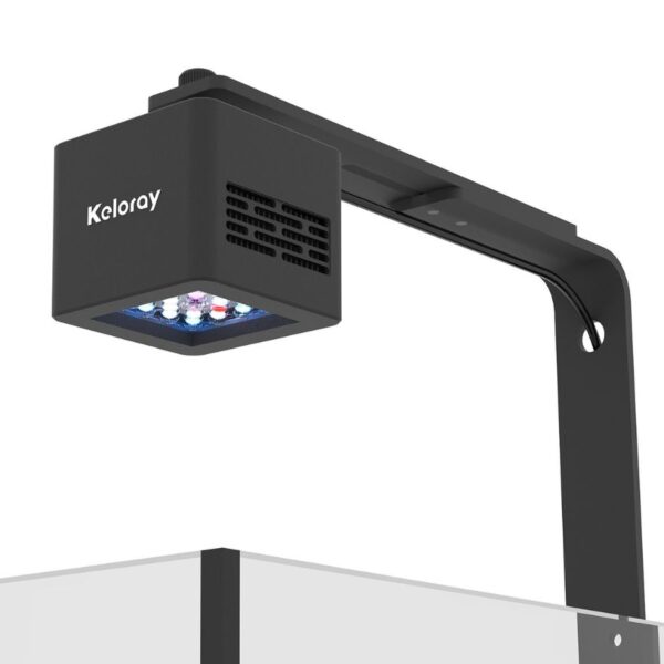 Foco-G160-Reef-Light-600x600