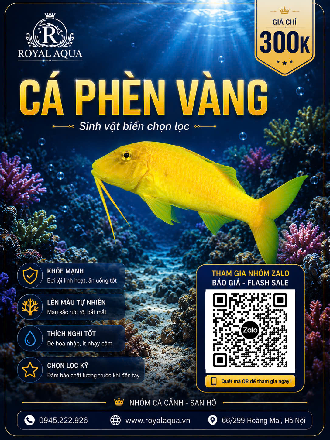 CÁ PHÈN VÀNG