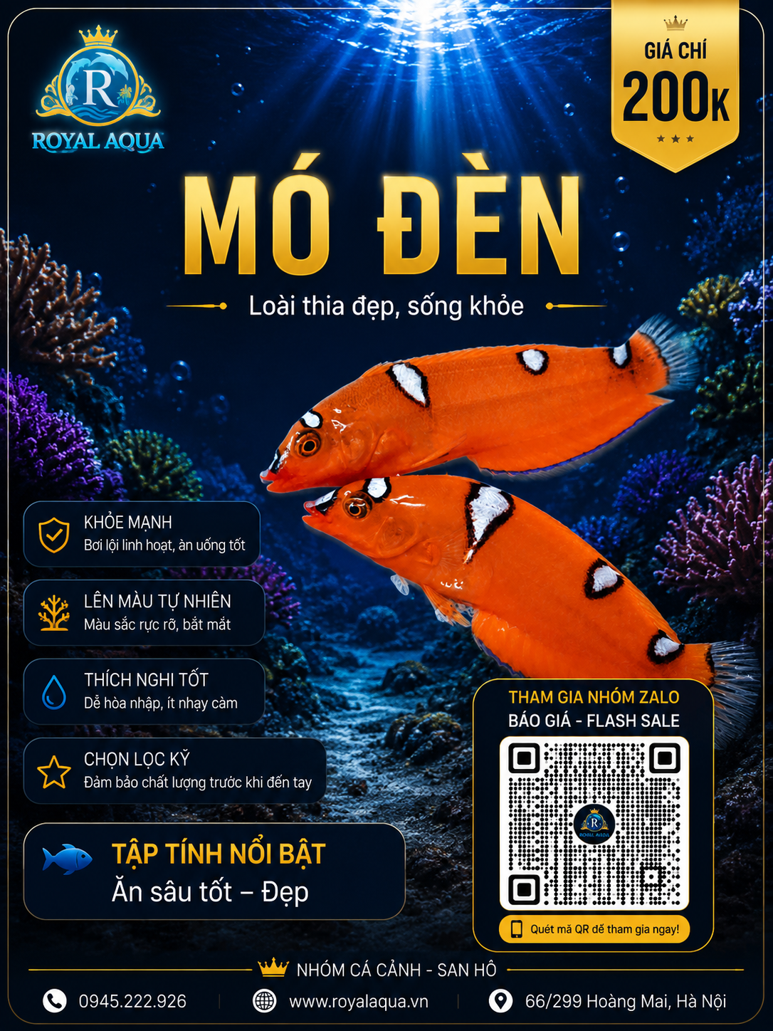 MÓ ĐÈN