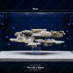 Layout Bể Cá Biển Đá Biển Bay 45cm Phong Cách Reef – Mã 524