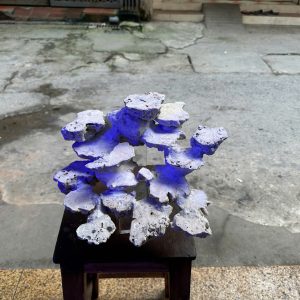 Layout Cá Biển Cubic Bay Cắt 40cm Đá Đẹp Sẵn Chỉ Việc Setup – Mã 487
