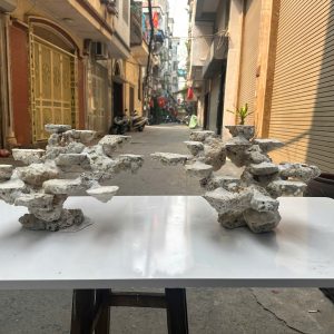 Layout Bể Cá Biển Đá Biển Cắt 90cm Phong Cách Hiện Đại – Mã 492