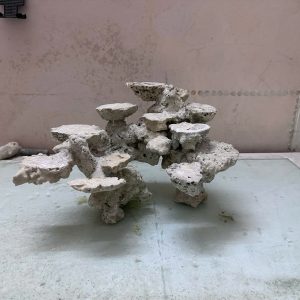 Layout Bể Cá Biển Đá Biển Cắt Bể 55cm Tối Ưu Không Gian San Hô – Mã 499