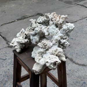 Layout Bể Cá Biển Đá Biển Mini 30cm Dành Cho Người Chơi – Mã 502