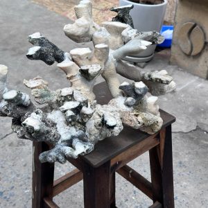 Layout Cá Biển Bể 50cm Dễ Dàng Đặt Tạo Sóng – Mã 505