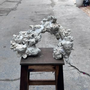 Layout Bể Cá Biển Đá Biển Vòng Cung 55cm Thiết Kế Thoáng Nước – Mã 506
