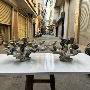 Layout Cá Biển Bể 120-150cm Bố Cục Đá Độc Bản – Mã 521