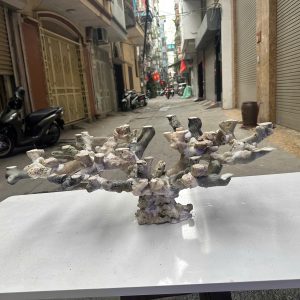 Layout Bể Cá Biển Đá Biển 90cm Hoàn Thiện Tỉ Mỉ – Mã 527