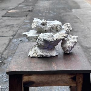 Layout Cá Biển Cubic 50cm Phong Cách Reef Tự Nhiên – Mã 513