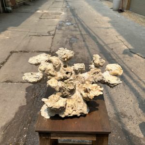 Layout Bể Cá Biển Đá Biển Cắt Bể 65cm Tối Ưu Hệ Reef – Mã 530