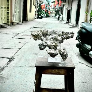 Layout Cá Biển Đá Biển Bay Bể 60cm Phong Cách Floating Reef – Mã 514