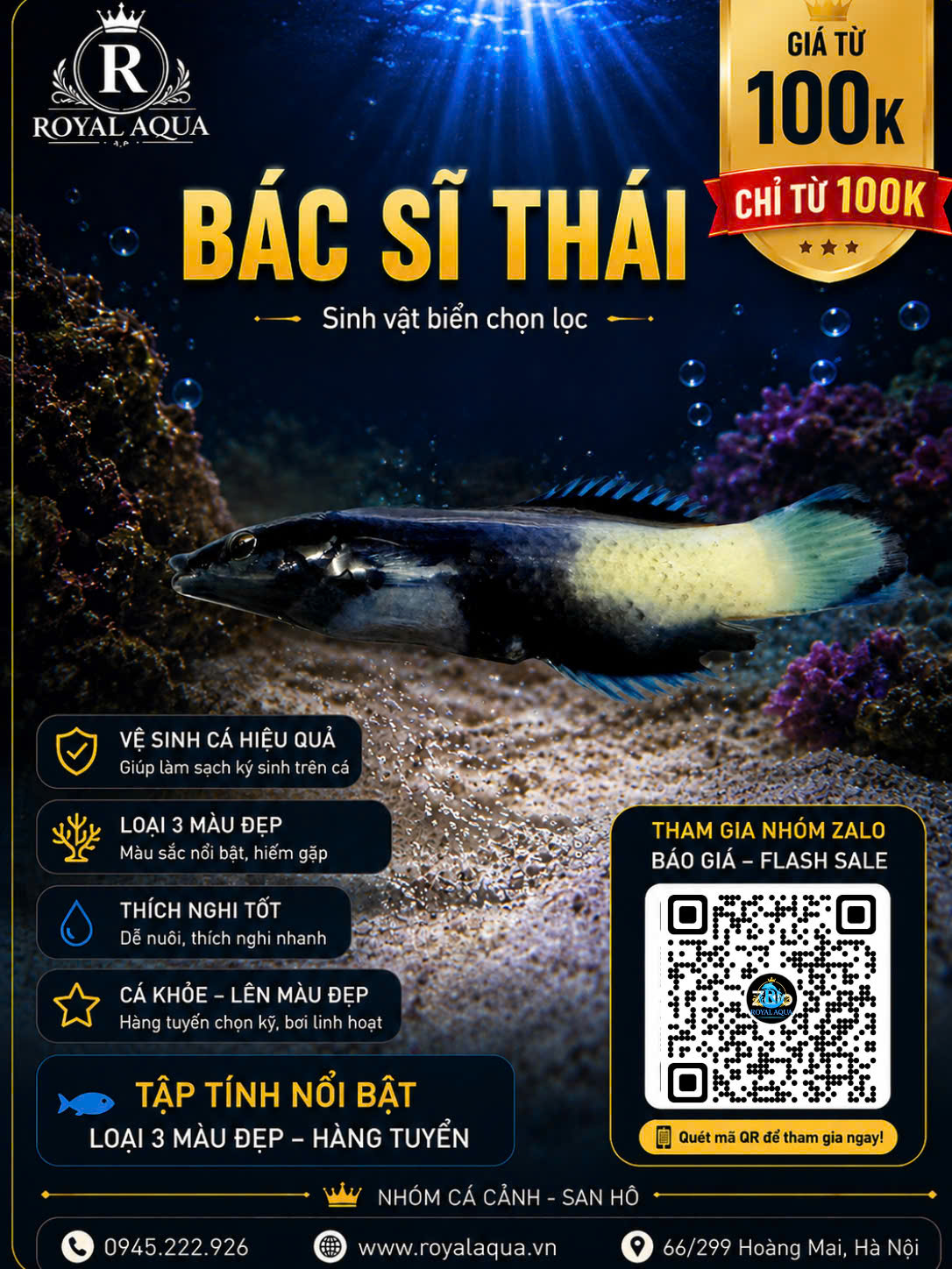BÁC SĨ THÁI
