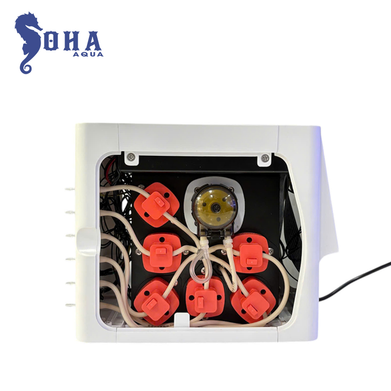 CMK-mini-lung.jpg