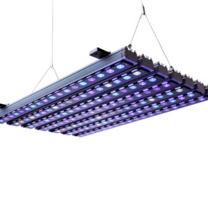 Đèn Ledbar Orphek OR3 Blue Plus 150/120/90/60