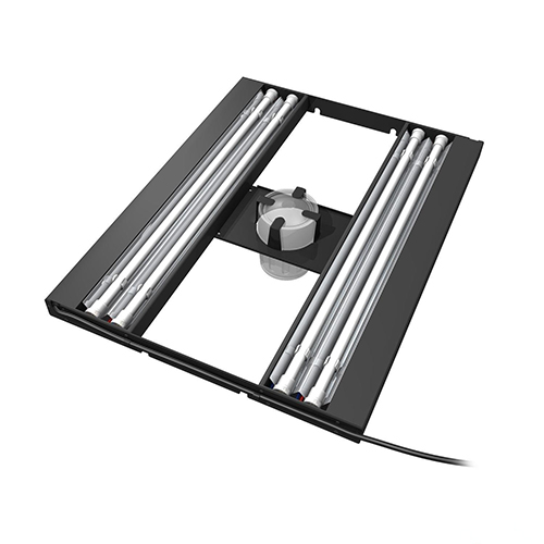 aquatic-life-60cm-2.jpg