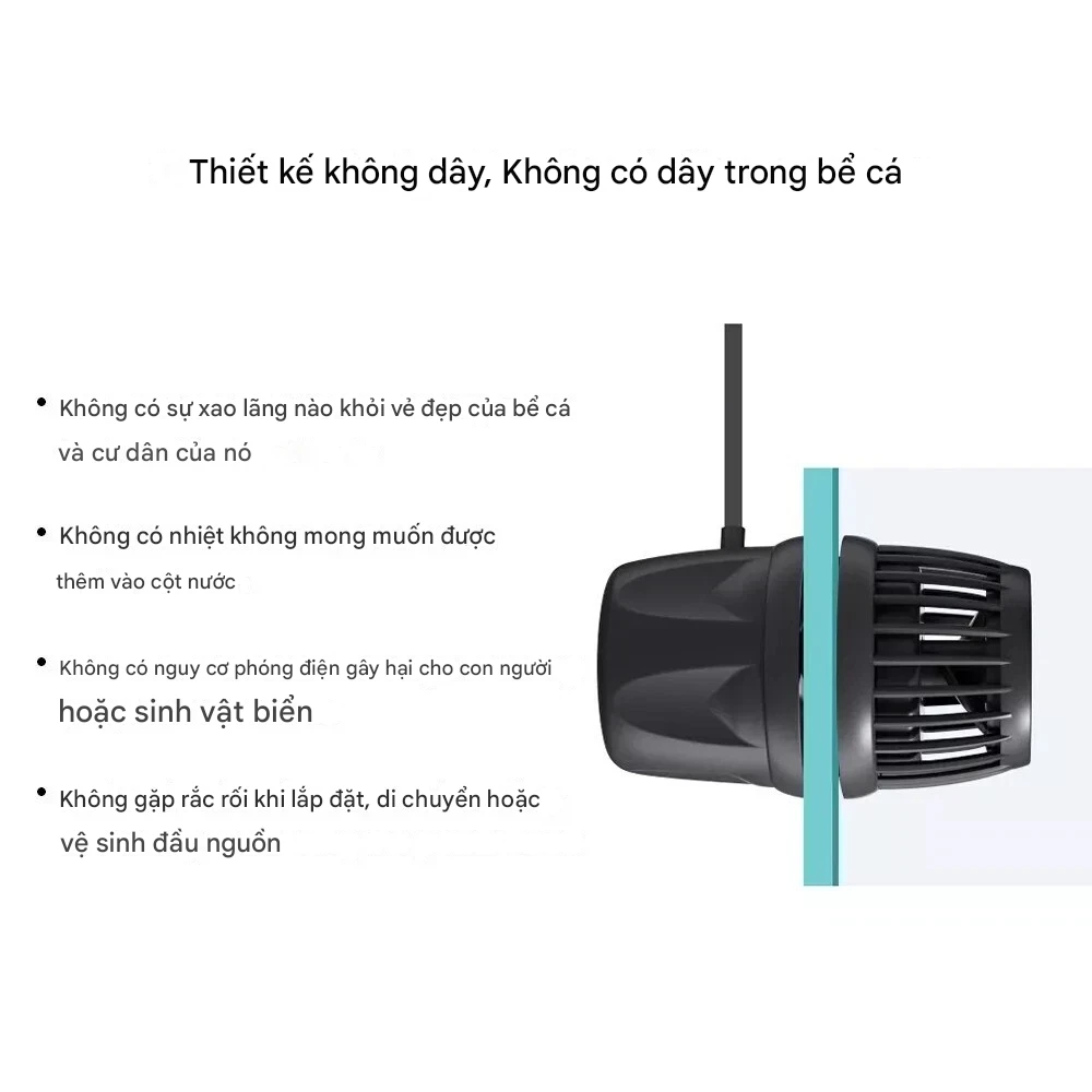 dmp20-khongday.webp