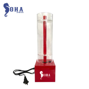 Lò khử No3 liền bơm – Đĩa đảo hiệu quả cho hồ cá