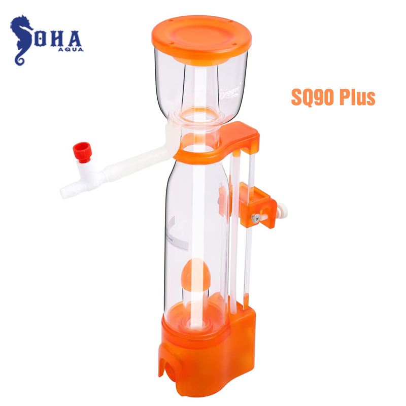 sq90oplus-redstarfish.jpg
